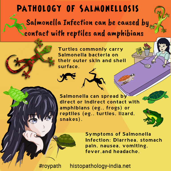 salmonellosis